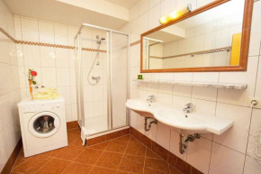Apartments in Flachau - Salzburger Land 49982